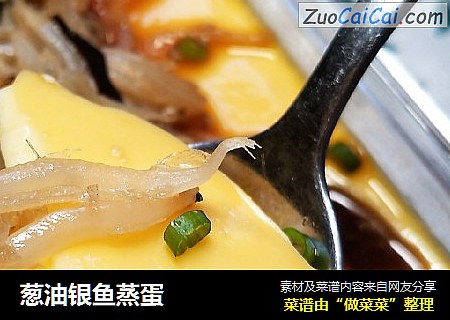 葱油银鱼蒸蛋