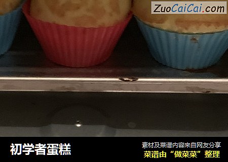 初学者蛋糕