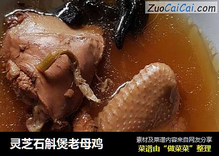 灵芝石斛煲老母鸡