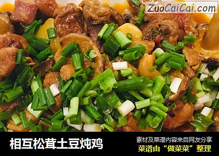 相互松茸土豆炖鸡