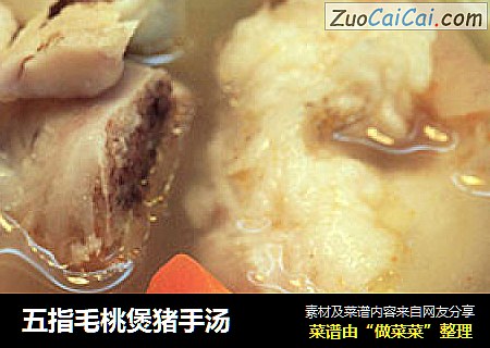 五指毛桃煲猪手汤
