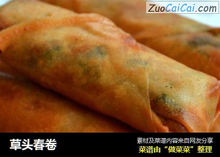 草头春卷