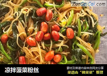 凉拌菠菜粉丝