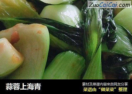 蒜蓉上海青