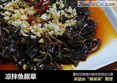 凉拌鱼腥草
