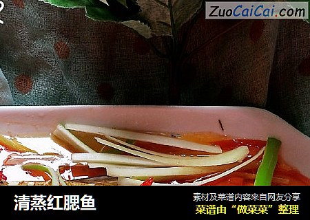 清蒸红腮鱼