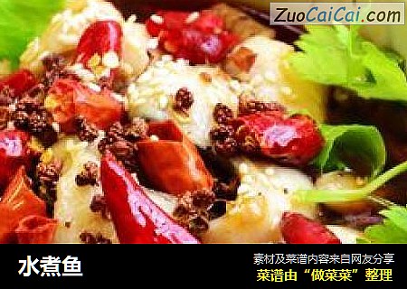 水煮鱼