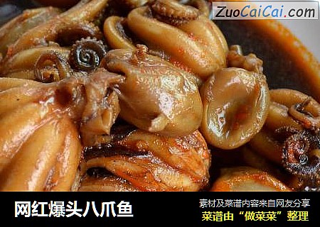 网红爆头八爪鱼