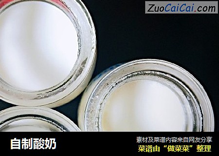 自制酸奶