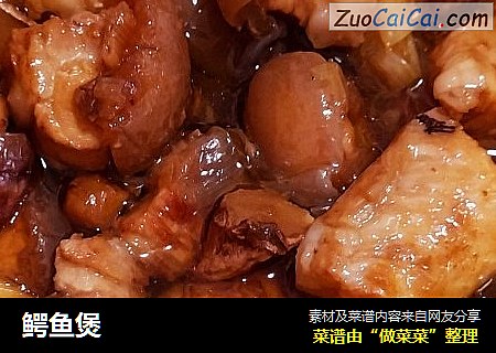 鳄鱼煲