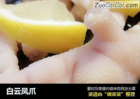 白云凤爪