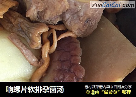 响螺片软排杂菌汤