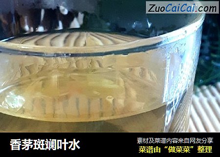 香茅斑斓叶水