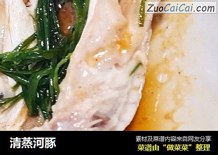 清蒸河豚