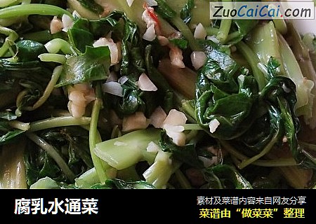 腐乳水通菜