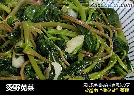 烫野苋菜