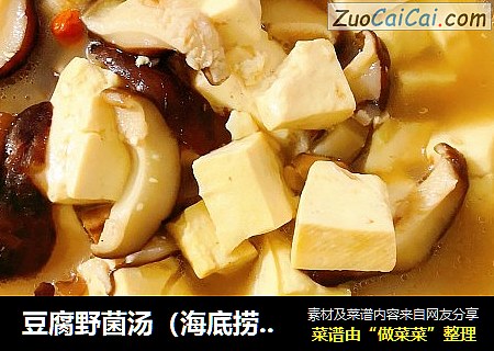豆腐野菌汤（海底捞版）