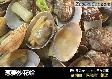 葱姜炒花蛤
