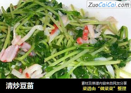 清炒豆苗