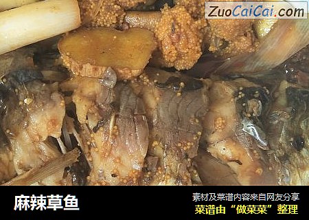 麻辣草鱼