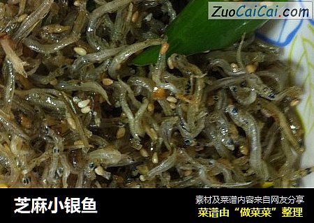 芝麻小银鱼