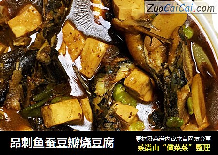 昂刺鱼蚕豆瓣烧豆腐