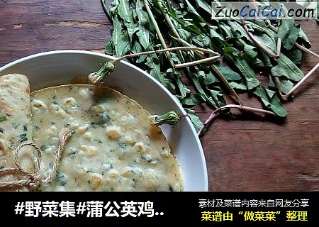 #野菜集#蒲公英鸡蛋卷饼