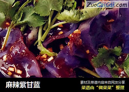 麻辣紫甘蓝