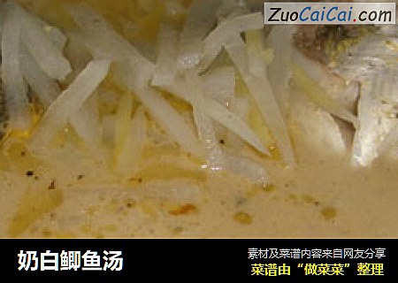 奶白鲫鱼汤