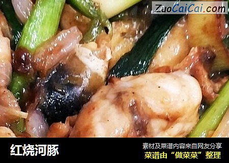 红烧河豚