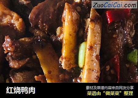 红烧鸭肉