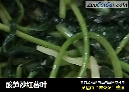 酸笋炒红薯叶