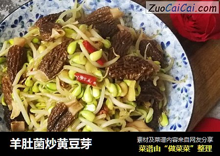 羊肚菌炒黄豆芽
