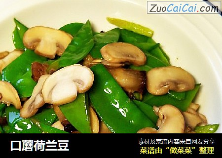 口蘑荷兰豆