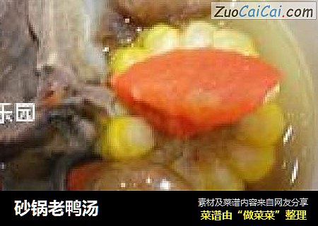砂锅老鸭汤