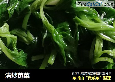 清炒苋菜