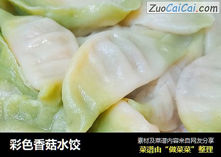 彩色香菇水饺