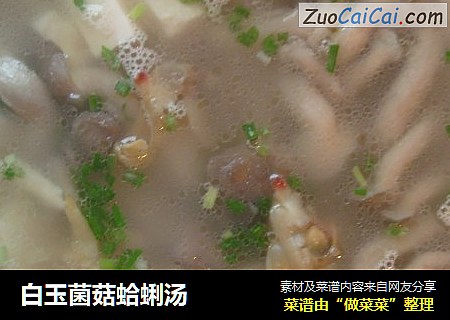 白玉菌菇蛤蜊汤