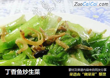 丁香鱼炒生菜