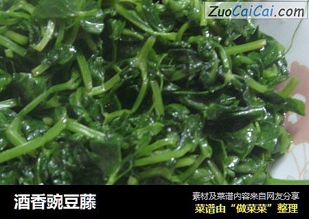 酒香豌豆藤