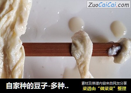 自家种的豆子-多种吃法