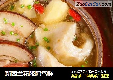 新西兰花胶腌笃鲜