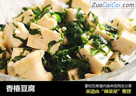 香椿豆腐
