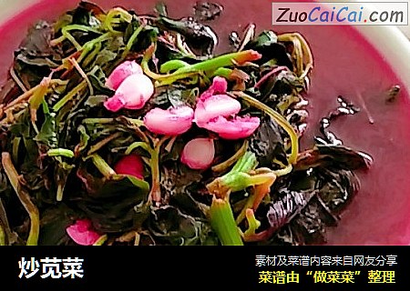 炒苋菜