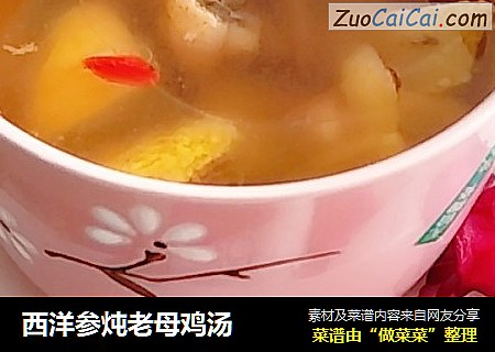 西洋参炖老母鸡汤