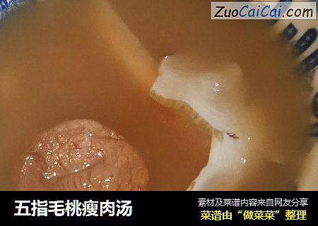 五指毛桃瘦肉汤