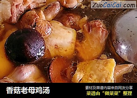 香菇老母鸡汤