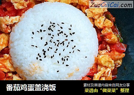 番茄鸡蛋盖浇饭