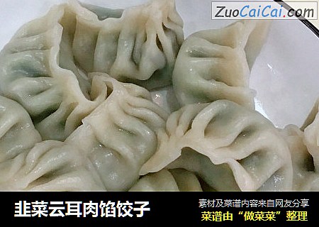 韭菜云耳肉馅饺子