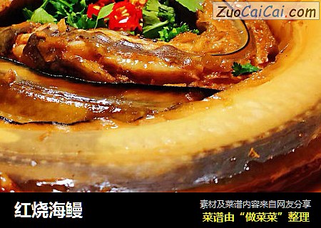 红烧海鳗
